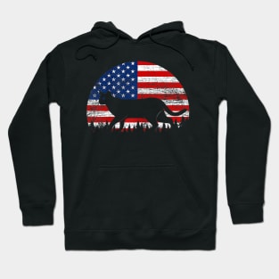 Cat American Flag Kitty Usa 4th Of July Hoodie